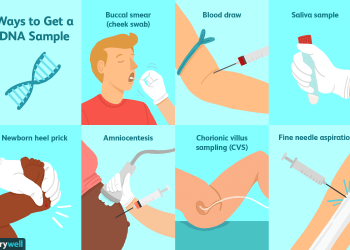 Exactly how long does a DNA Test Normally Take?