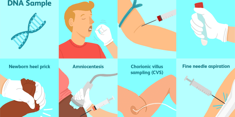 Exactly how long does a DNA Test Normally Take?