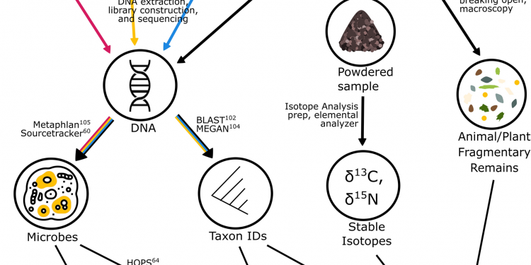 Does Urine Hold DNA?