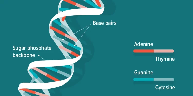 10 Reasons not to Reveal your DNA