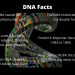 What Are Some Crazy Facts about DNA/Genetics?