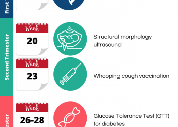 What Tests are to be Taken During Pregnancy?
