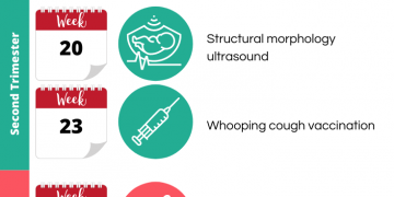 What Tests are to be Taken During Pregnancy?