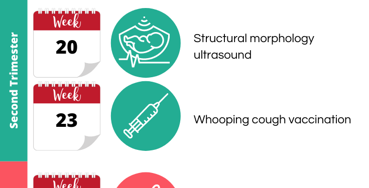 What Tests are to be Taken During Pregnancy?