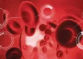 10 Commonly Used Blood Tests for Older Adults.