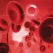 10 Commonly Used Blood Tests for Older Adults.