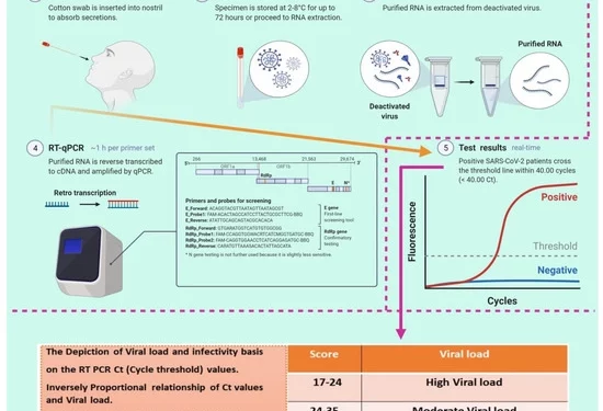 How Good are COVID-19 Diagnostic PCR Tests?