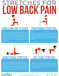 Physical Therapy Exercises for Lower Back Pain: