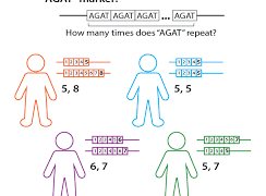 DNA Paternity Tests: How They Work and How to Do One?