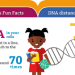 What Are Some Crazy Facts about DNA/Genetics?