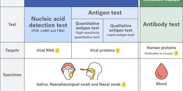How Do COVID PCR Testing Kits Work?