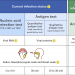 How Do COVID PCR Testing Kits Work?