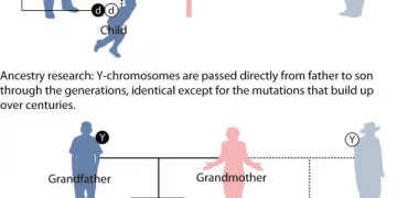 What Secrets Can Genetic DNA Test Reveal?