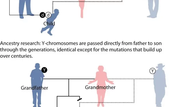 What Secrets Can Genetic DNA Test Reveal?