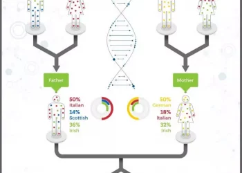Why Can Siblings Have Different DNA Results?