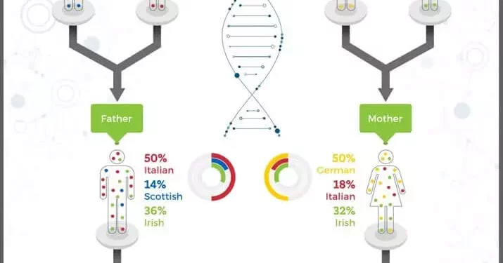 Why Can Siblings Have Different DNA Results?