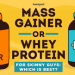 Best Mass Gainer Shake Recipe for Ripped Muscle Building