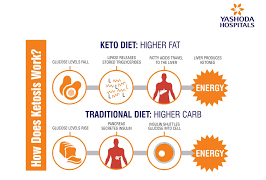 Understanding a High Fat Ketogenic Diet and is it For You?
