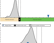 How does a paternity test prove who the father is?