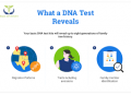What can a DNA Test Reveal about your Ancestry?