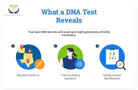 What can a DNA Test Reveal about your Ancestry?