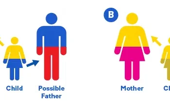 When Did Paternity Testing Begin?