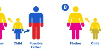 When Did Paternity Testing Begin?