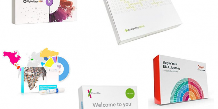 Would You Take a DNA Test to See Your Origins?