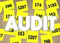 What is the Importance of Conducting a Tax Audit?
