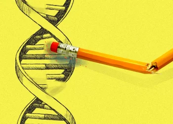 How DNA ancestry testing can change our ideas of who we are