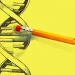 How DNA ancestry testing can change our ideas of who we are