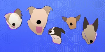 How Does One Deal With a False Positive Paternity Test?