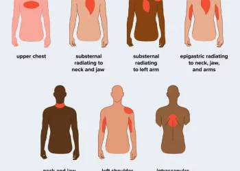 Repairing the Damage After a Heart Attack