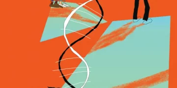 What will a DNA test show you?