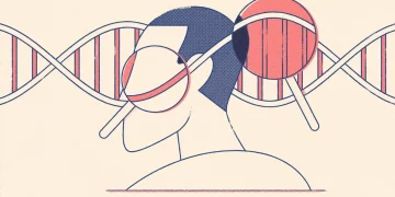 What is the Purpose of a DNA Test for an Adoption Search?