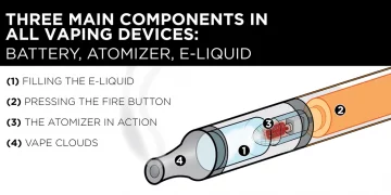 Everything You Need to Know About Vapes and Mods