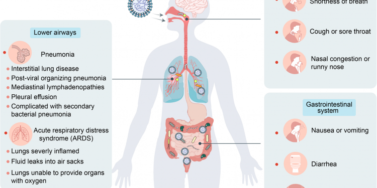 Why Does COVID-19 Cause Diarrhea for Some Sufferers?