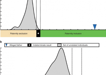 DNA Testing and its Impact on Paternity Determinations