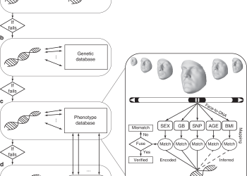 Facial Recognition from DNA Using Face-To-DNA Classifiers