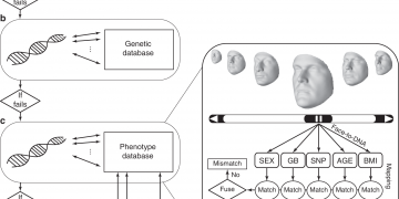 Facial Recognition from DNA Using Face-To-DNA Classifiers