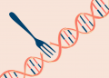 Can Your DNA Determine the Best Diet for You?