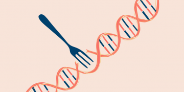 Can Your DNA Determine the Best Diet for You?