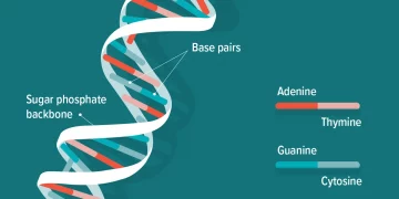 Why is DNA testing so important?