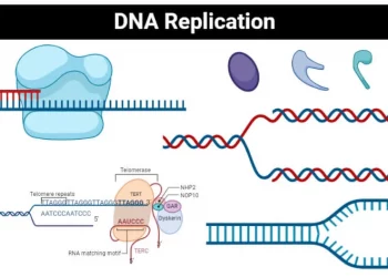 Take Action Based on Your DNA