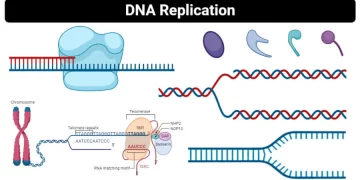 Take Action Based on Your DNA