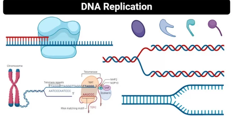 Take Action Based on Your DNA
