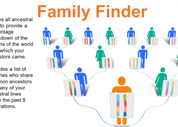 What type of DNA test should I do to check my ancestral line?