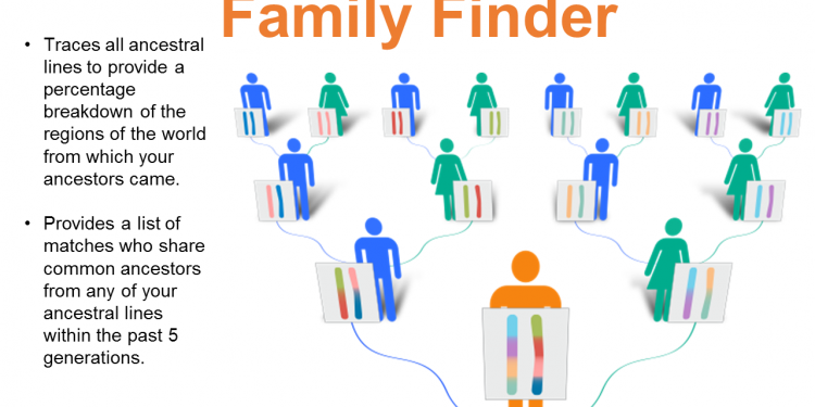 What type of DNA test should I do to check my ancestral line?
