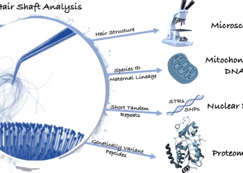 Can tiny face hair be used as a DNA sample?