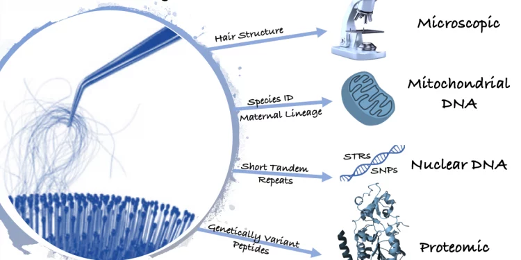 Can tiny face hair be used as a DNA sample?